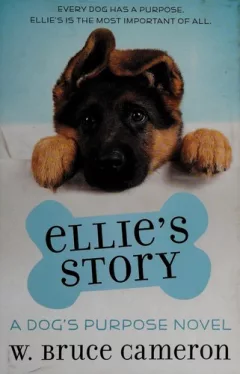 Ellie's story