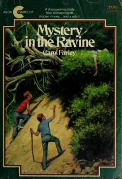 Mystery in the ravine