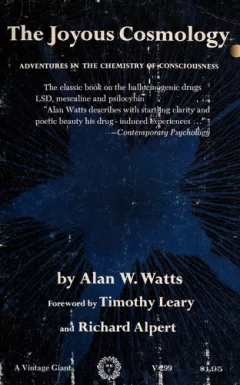 The joyous cosmology