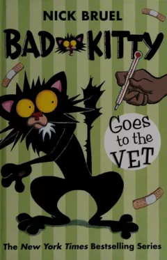 Bad kitty goes to the vet