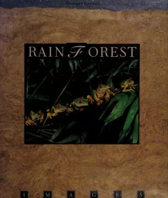 Rain forest