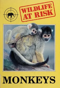 Monkeys