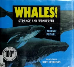 Whales!