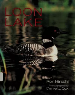 Loon lake
