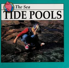 Tide pools