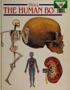 The human body