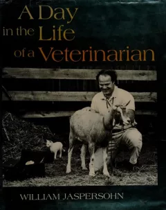 A day in the life of a veterinarian