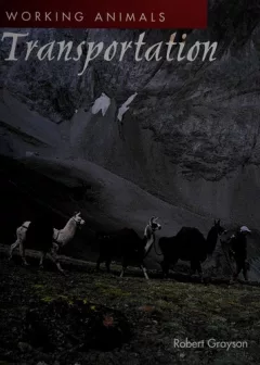 Transportation