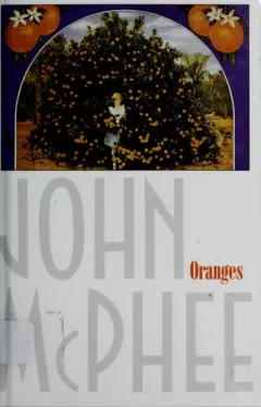 Oranges