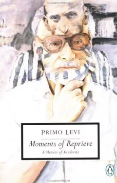 Moments of Reprieve