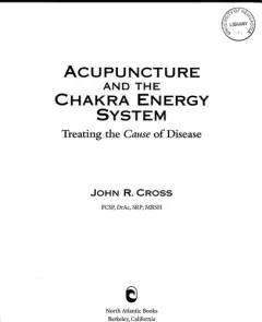 Acupuncture and the chakra energy system
