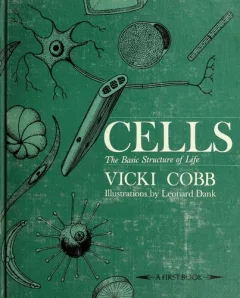 Cells