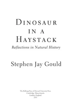 Dinosaur in a haystack