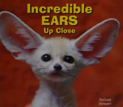 Incredible ears up close