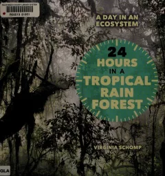 24 hours in a tropical rain forest