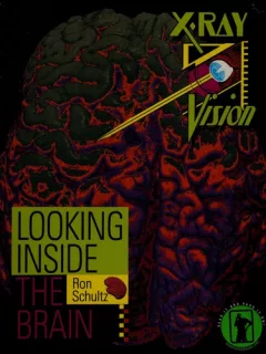 Looking inside the brain