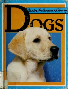 Dogs