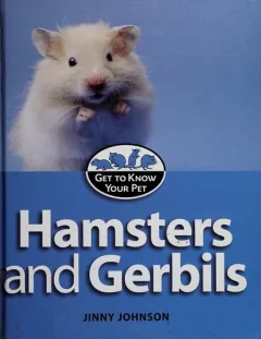 Hamsters and gerbils