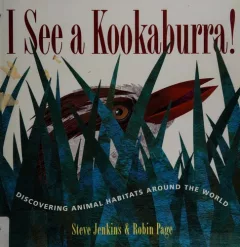 I see a kookaburra!