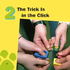 Amazing pet tricks