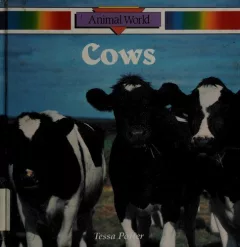 Cows