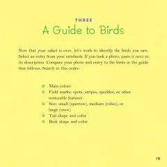 Birds