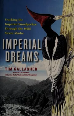 Imperial Dreams